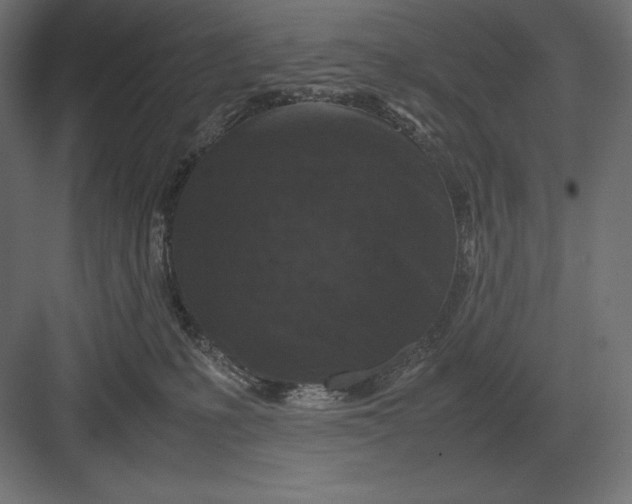 X0000082150231200702092159