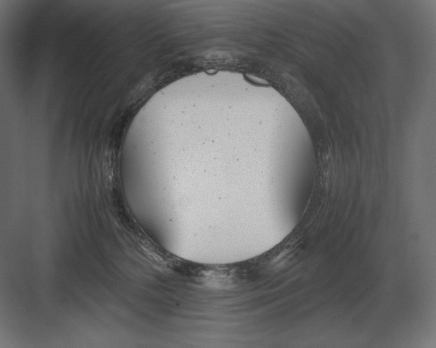 X0000082150232200702092159