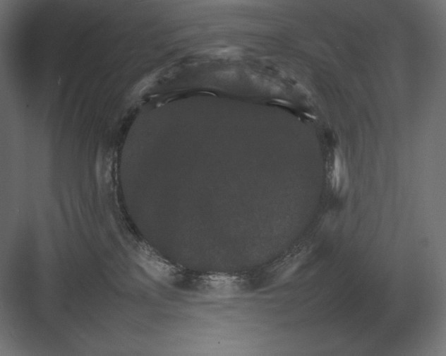 X0000082150233200702092159