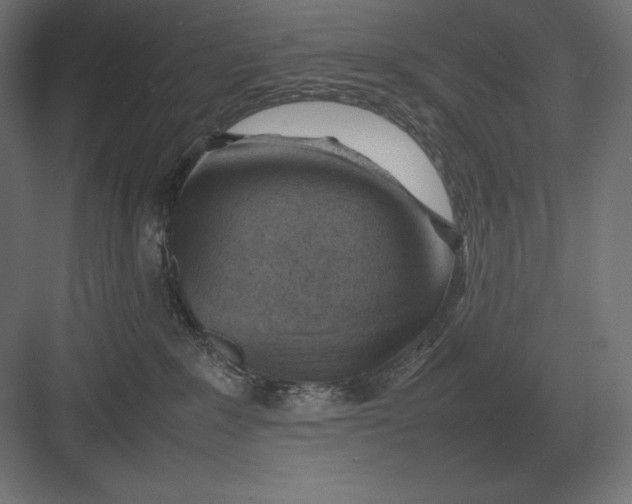 X0000082150235200702092159