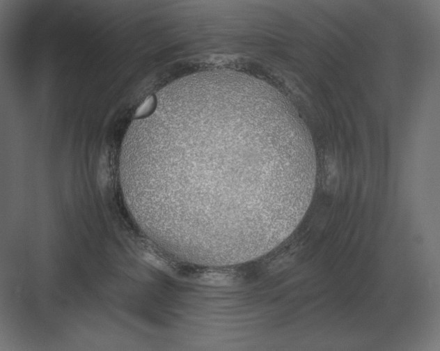 X0000082150236200702092159