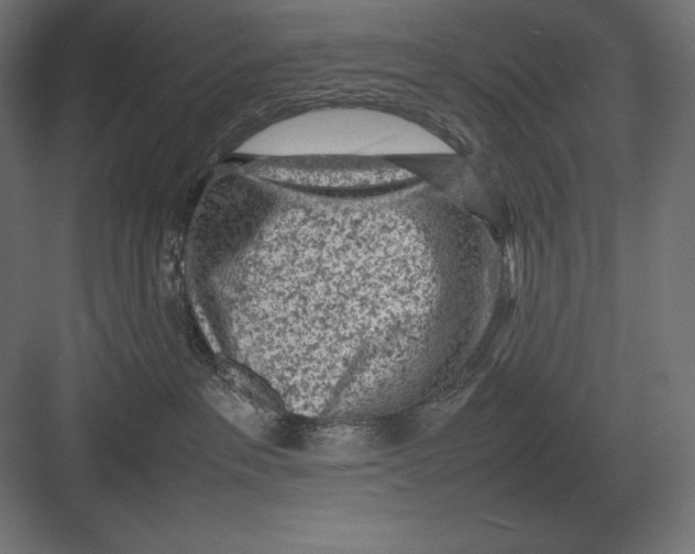 X0000082150237200702092159