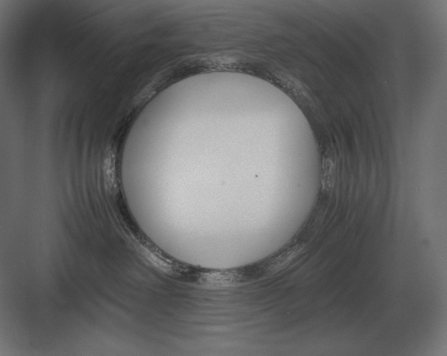 X0000082150238200702092159