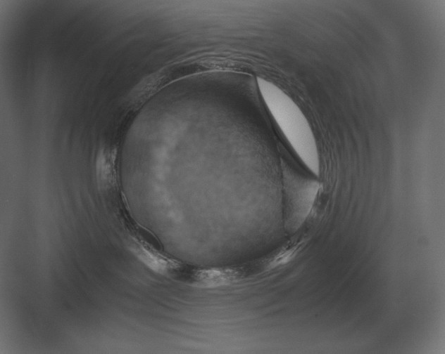 X0000082150239200702092159