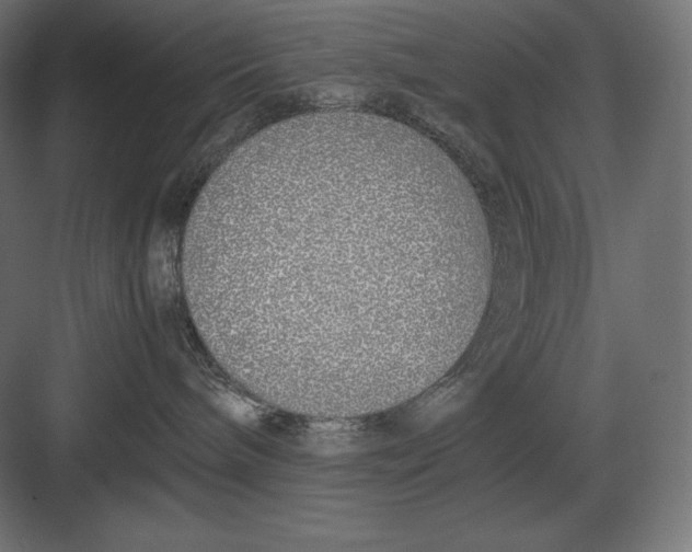 X0000082150240200702092159