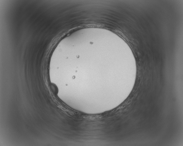 X0000082150241200702092158