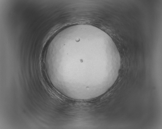 X0000082150242200702092158