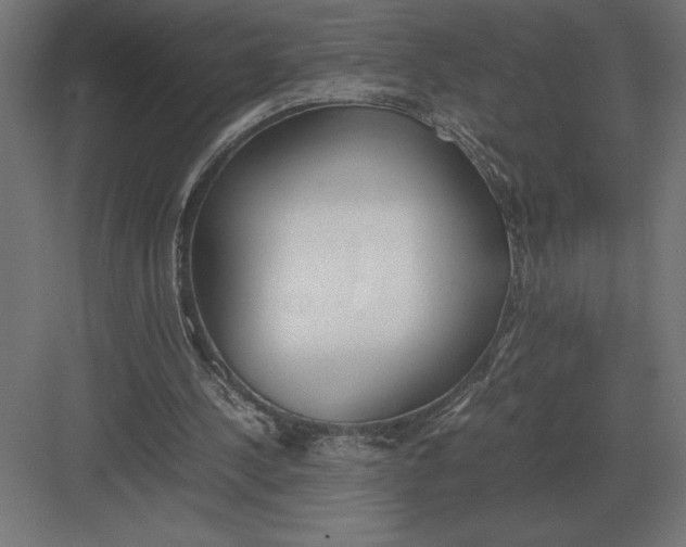 X0000082150244200702092158