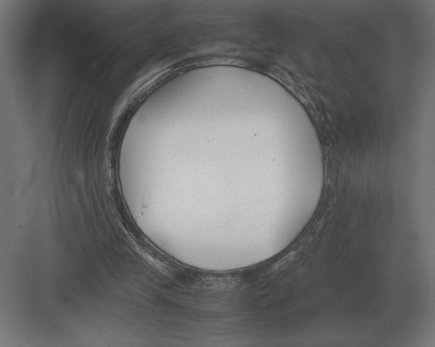 X0000082150245200702092158