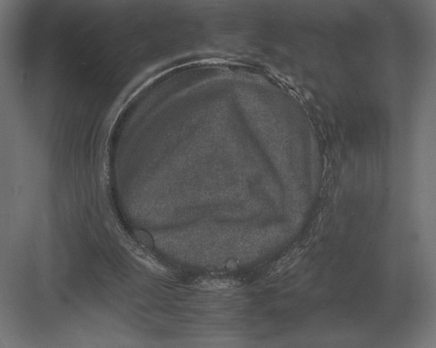 X0000082150247200702092158