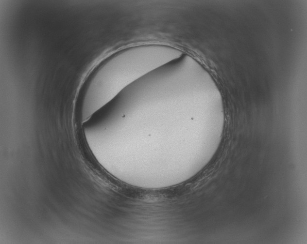 X0000082150248200702092158