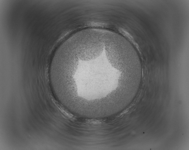 X0000082150249200702092158