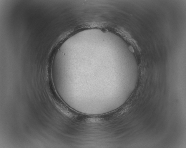 X0000082150250200702092158