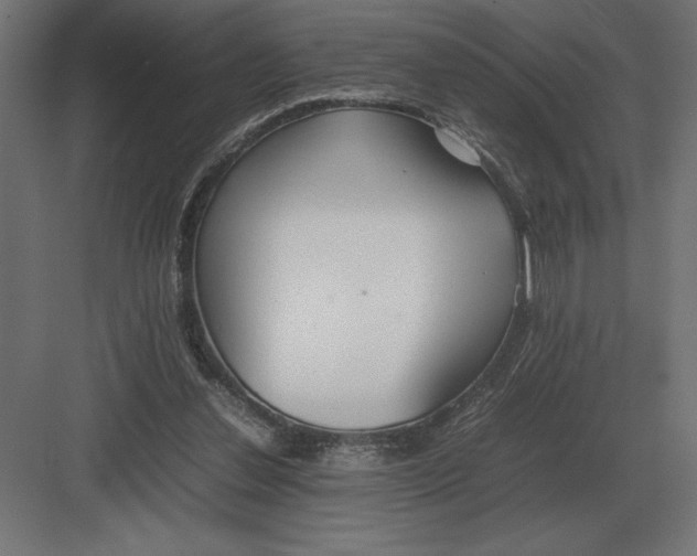 X0000082150252200702092158