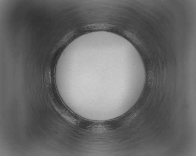 X0000082150254200702092158