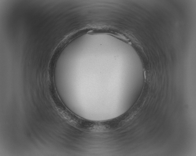 X0000082150256200702092158