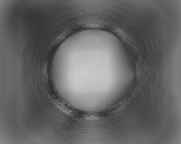 X0000082150258200702092158