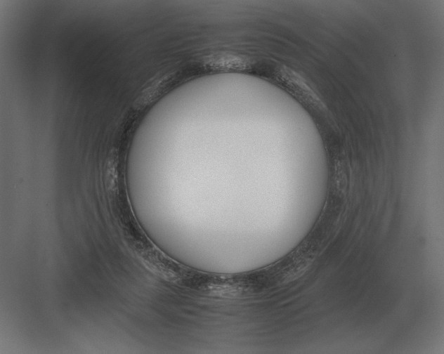 X0000082150259200702092158