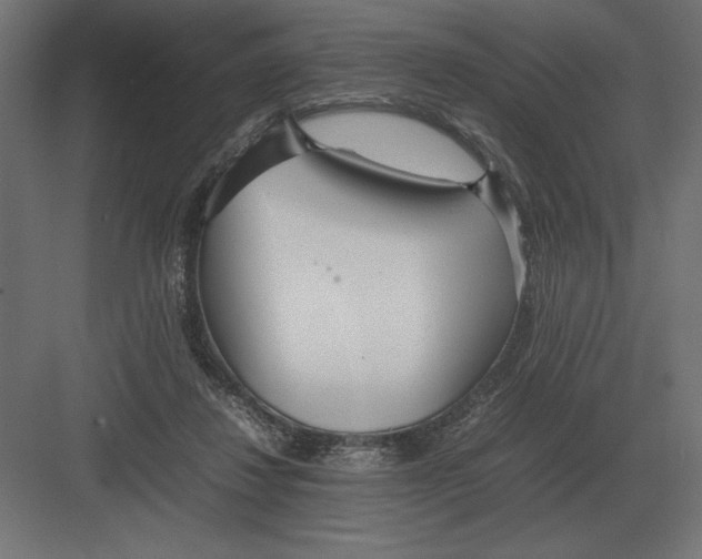 X0000082150260200702092158