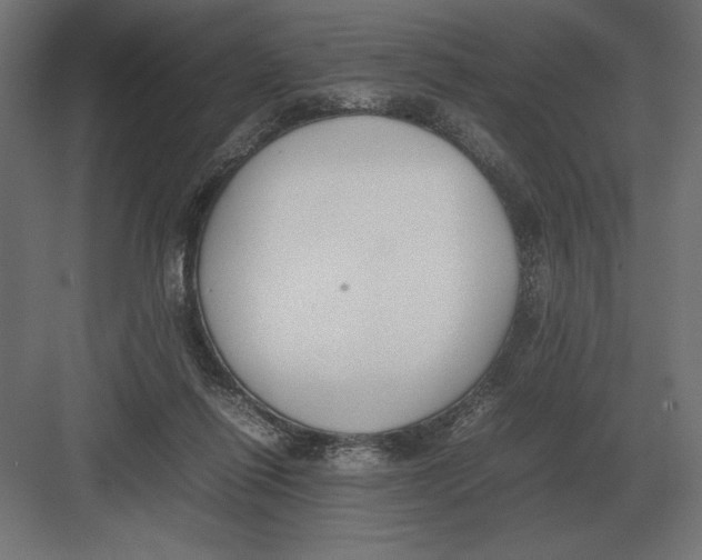 X0000082150262200702092158