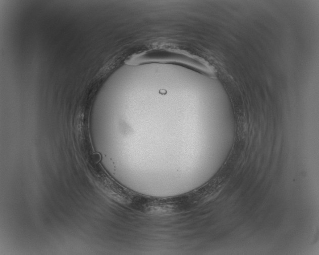 X0000082150263200702092158