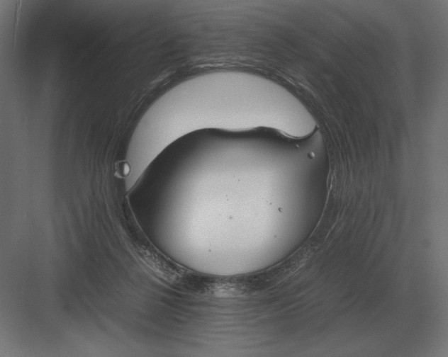 X0000082150264200702092158