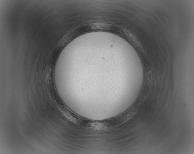 X0000082150265200702092158