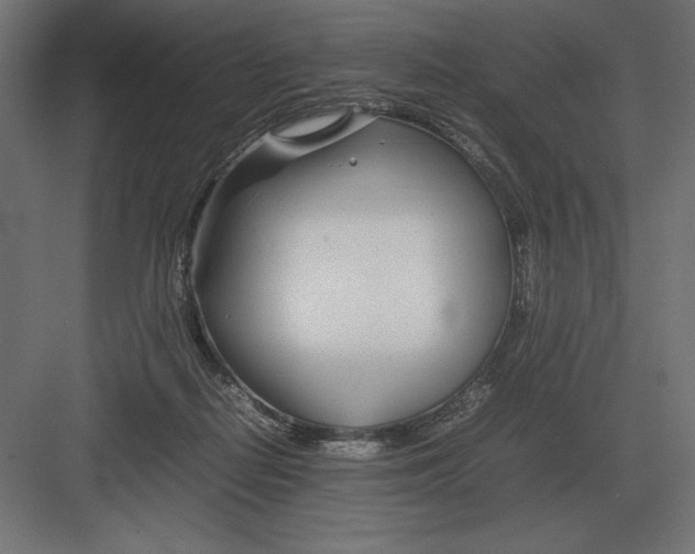 X0000082150266200702092159