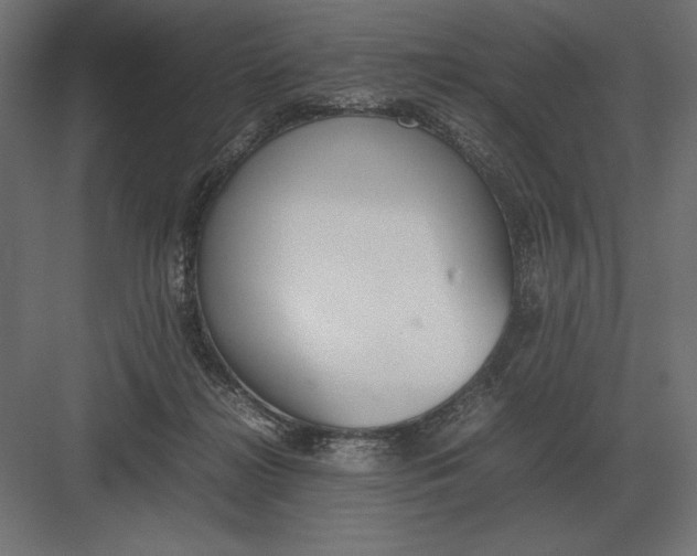 X0000082150268200702092159