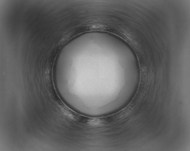 X0000082150269200702092159