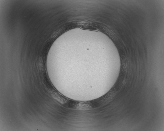 X0000082150270200702092159