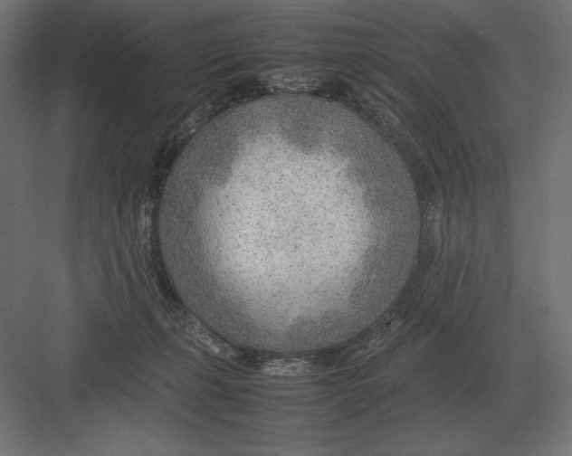 X0000082150271200702092159