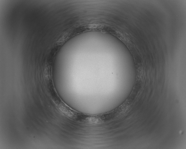 X0000082150272200702092159