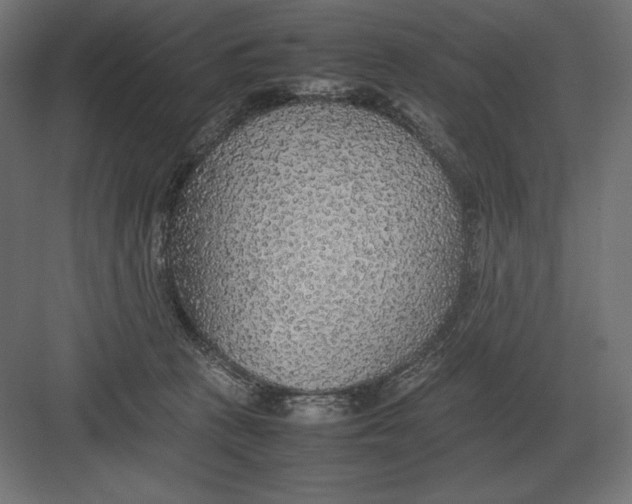 X0000082150273200702092159