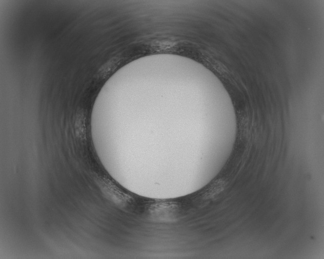 X0000082150274200702092159