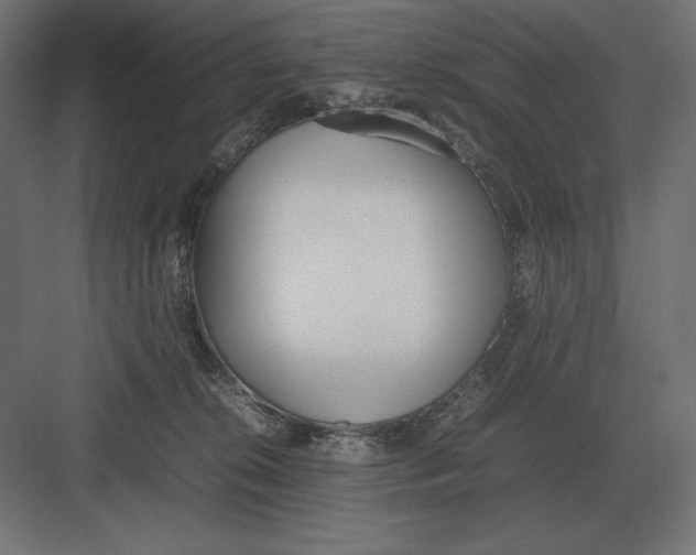 X0000082150276200702092159