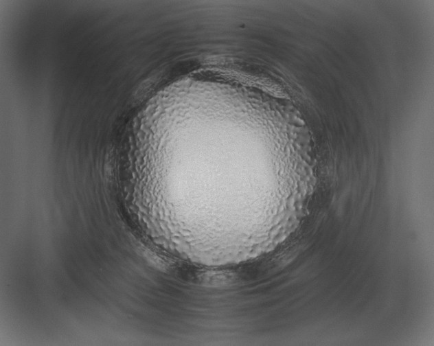 X0000082150277200702092159