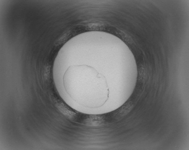 X0000082150278200702092159