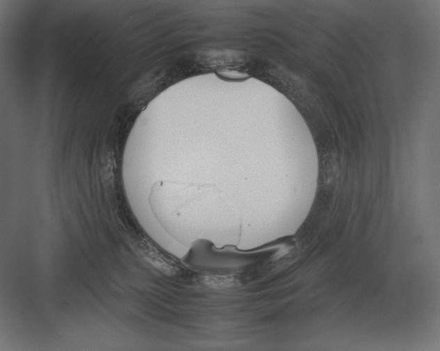 X0000082150279200702092159