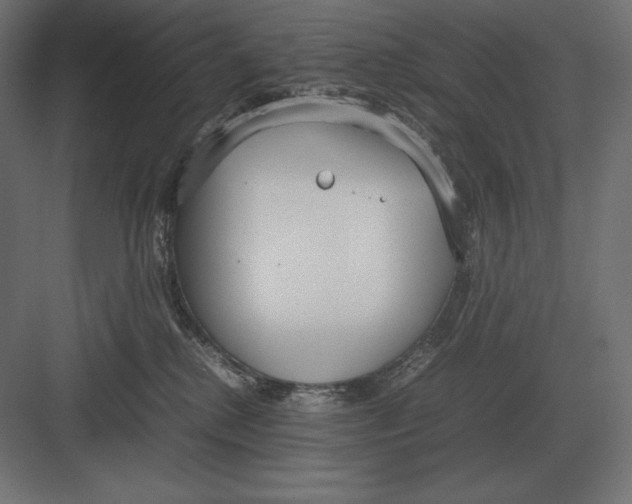 X0000082150280200702092159