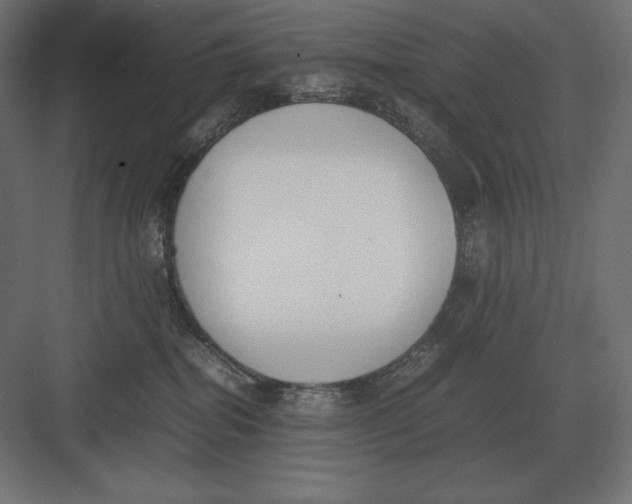 X0000082150282200702092159