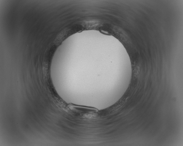 X0000082150283200702092159