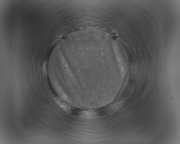 X0000082150286200702092159