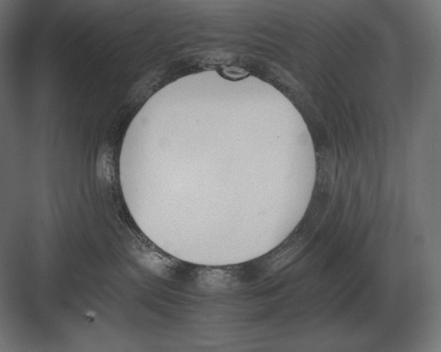 X0000082150287200702092159