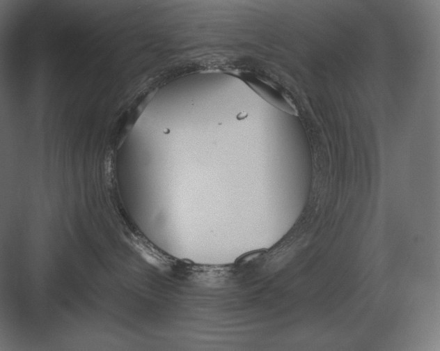 X0000082150288200702092159