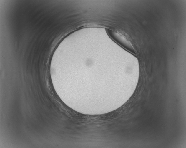 X0000082150289200702092158