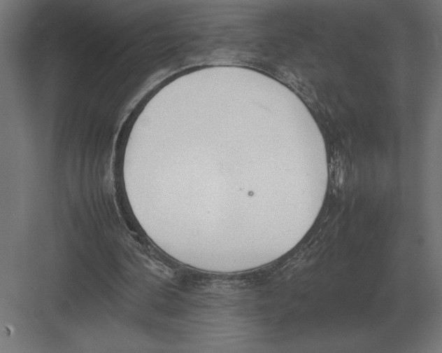 X0000082150292200702092158