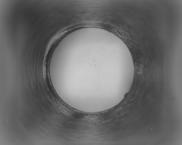 X0000082150294200702092158