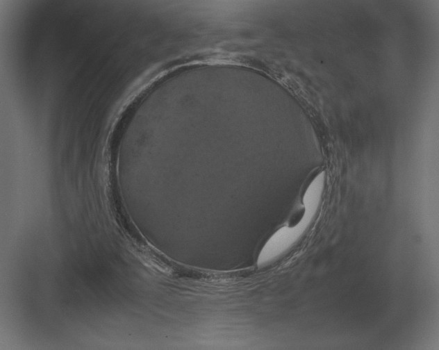 X0000082150295200702092158