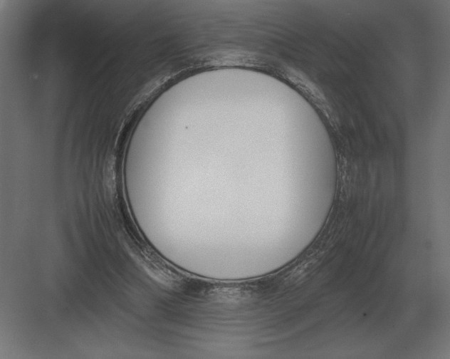 X0000082150298200702092158